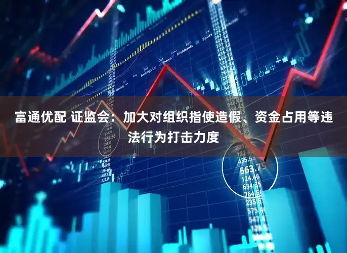 富通优配 证监会：加大对组织指使造假、资金占用等违法行为打击力度